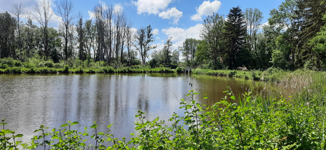 Idylle am Stausee der Wertach